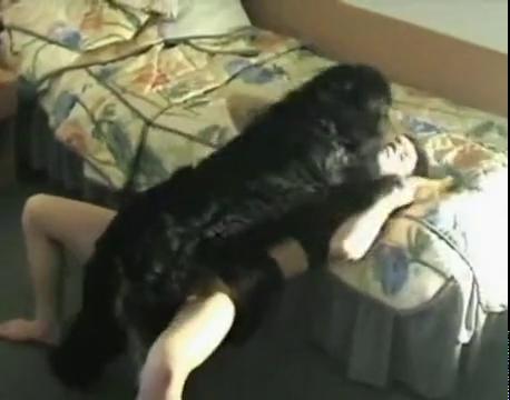 Псина раком трахает зрелую мамку