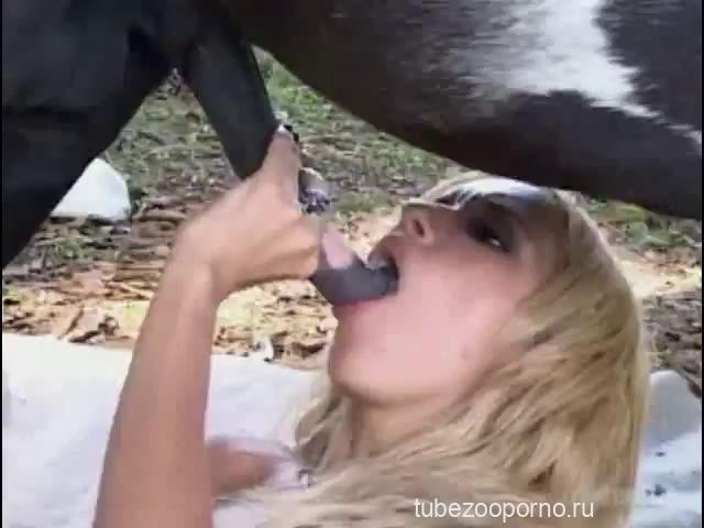 Анальное зоо порно с лошадкой секс видео